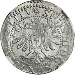 Polska 1 grosz 1610 "Litwa" na aukcji Niemczyk - 15 marca 2025
