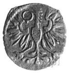 Polska Denar 1591 CWF na aukcji WCN - 23 listopada 1996