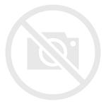 Polska Półzłotek (2 grosze) 1777 EB na aukcji WCN - 22 listopada 1997