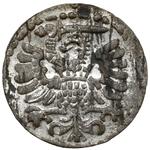 Poland Denar 1596 "Danzig" at auction Marciniak - June 1, 2023