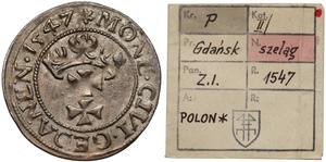 Polska Szeląg 1547 "Gdańsk" na aukcji Marciniak - 4 lutego 2025
