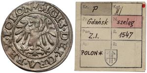 Polska Szeląg 1547 "Gdańsk" na aukcji Marciniak - 4 lutego 2025