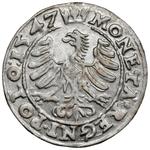 Polska 1 grosz 1547 ST na aukcji Marciniak - 3 czerwca 2025