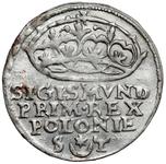 Polska 1 grosz 1547 ST na aukcji Marciniak - 3 czerwca 2025