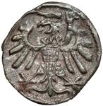 Poland Denar 1539 MS "Danzig" at auction Marciniak - June 3, 2025