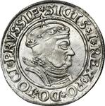 Polska 1 grosz 1535 "Toruń" na aukcji Wójcicki - 7 marca 2025