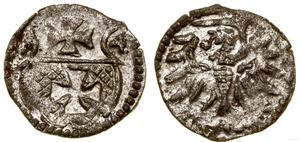Polska Denar 1554 "Elbląg" na aukcji WCN - 9 lutego 2023