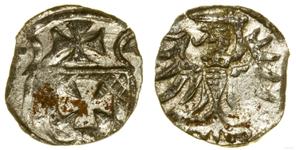 Polska Denar 1554 "Elbląg" na aukcji WCN - 1 lutego 2024