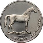Polen 100 Zlotych 1981 MW "Pferd" (Probe) auf der Auktion Numimarket - 20. Januar 2025