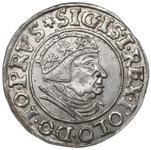 Poland 1 Grosz 1539 "Danzig" at auction Rzeszowski DA - April 27, 2025