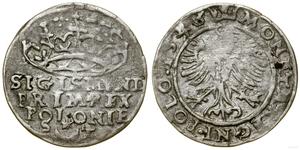 Poland 1 Grosz 1546 ST at auction WCN - July 4, 2024