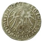 Polska 1 grosz 1536 A "Litwa" na aukcji Dom Aukcyjny Art Magnat - 24 stycznia 2025