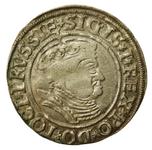 Polska 1 grosz 1535 "Toruń" na aukcji Dom Aukcyjny Art Magnat - 21 lutego 2025