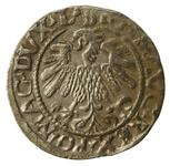 Polen 1/2 Groschen 1559 "Litauen" auf der Auktion Dom Aukcyjny Art Magnat - 21. März 2025