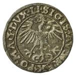 Polen 1/2 Groschen 1555 "Litauen" auf der Auktion Dom Aukcyjny Art Magnat - 21. März 2025