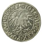 Polen 1/2 Groschen 1547 "Litauen" auf der Auktion Dom Aukcyjny Art Magnat - 21. März 2025