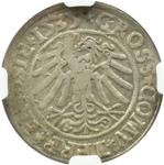 Polska 1 grosz 1535 "Toruń" na aukcji COINSNET - 24 maja 2025