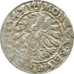 Polska 1 grosz 1547 ST na aukcji COINSNET - 24 maja 2025