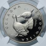 Polska 100 złotych 1980 MW "Głuszec" (Próba) na aukcji Jerzykowski - 6 kwietnia 2025