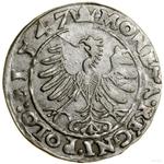 Polska 1 grosz 1547 ST na aukcji WCN - 17 maja 2025