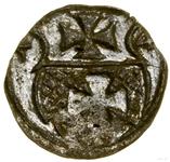 Polska Denar 1554 "Elbląg" na aukcji WCN - 17 maja 2025