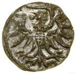Polska Denar 1554 "Elbląg" na aukcji WCN - 17 maja 2025