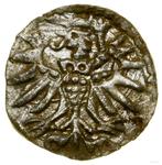 Polska Denar 1555 "Elbląg" na aukcji WCN - 17 maja 2025