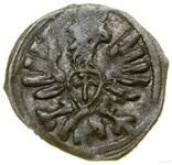 Poland Denar no date (1587-1632) at auction WCN - May 17, 2025