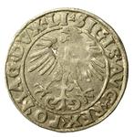 Polen 1/2 Groschen 1555 "Litauen" auf der Auktion Dom Aukcyjny Art Magnat - 25. April 2025