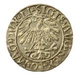 Polen 1/2 Groschen 1558 "Litauen" auf der Auktion Dom Aukcyjny Art Magnat - 25. April 2025