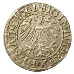 Polen 1/2 Groschen 1558 "Litauen" auf der Auktion Dom Aukcyjny Art Magnat - 25. April 2025