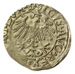 Polen 1/2 Groschen 1558 "Litauen" auf der Auktion Dom Aukcyjny Art Magnat - 23. Mai 2025