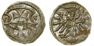 Polska Denar 1555 "Elbląg" na aukcji WCN - 6 marca 2025