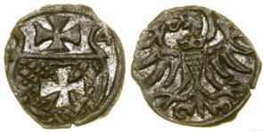 Polska Denar 1554 "Elbląg" na aukcji WCN - 20 marca 2025