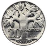 Polska 20 złotych 1964 MW "Drzewo" (Próba) na aukcji Karbownik - 18 czerwca 2025