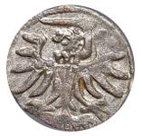 Polska Denar 1555 "Elbląg" na aukcji Stare Monety - 13 czerwca 2025