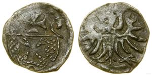 Polska Denar 1555 "Elbląg" na aukcji WCN - 3 lipca 2025