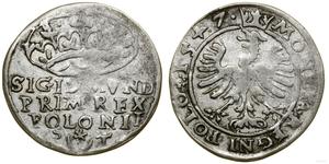 Polska 1 grosz 1547 ST na aukcji WCN - 17 lipca 2025