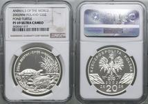 Polska 20 złotych 2002 MW "Żółw błotny" na aukcji WCN - 21 sierpnia 2025